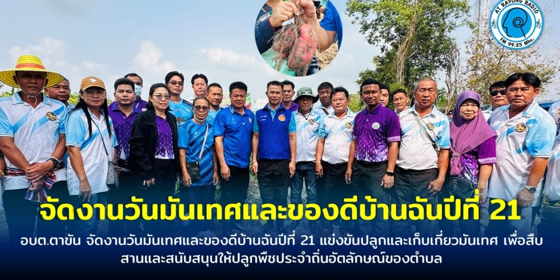 อบต.ตาขัน จัดงานวันมันเทศและของดีบ้านฉันปีที่ 21 แข่งขันปลูกและเก็บเกี่ยวมันเทศ เพื่อสืบสานและสนับสนุนให้ปลูกพืชประจำถิ่นอัตลักษณ์ของตำบล