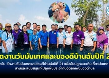 อบต.ตาขัน จัดงานวันมันเทศและของดีบ้านฉันปีที่ 21 แข่งขันปลูกและเก็บเกี่ยวมันเทศ เพื่อสืบสานและสนับสนุนให้ปลูกพืชประจำถิ่นอัตลักษณ์ของตำบล