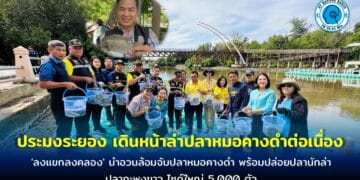 ประมงระยอง เดินหน้าล่าปลาหมอคางดำต่อเนื่อง เปิดปฎิบัติการ ‘ลงแขกลงคลอง’ นำอวนล้อมจับปลาหมอคางดำ พร้อมปล่อยปลานักล่า ปลากะพงขาว ไซด์ใหญ่ 5,000 ตัว ลงแหล่งน้ำสาธารณะ