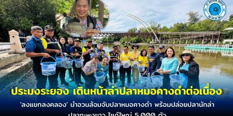 ประมงระยอง เดินหน้าล่าปลาหมอคางดำต่อเนื่อง เปิดปฎิบัติการ ‘ลงแขกลงคลอง’ นำอวนล้อมจับปลาหมอคางดำ พร้อมปล่อยปลานักล่า ปลากะพงขาว ไซด์ใหญ่ 5,000 ตัว ลงแหล่งน้ำสาธารณะ