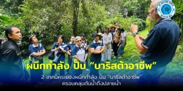 เปิดหลักสูตรใหม่! นักคั่ว–นักชิมกาแฟ สร้างรายได้สู่ผู้เรียน